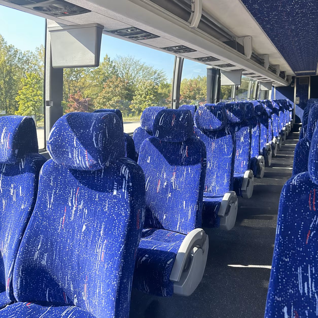 greenville wine tour transportation